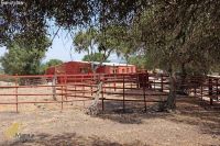 Vejer De La Frontera: Equestrian Country Property Andalusia, Cadiz